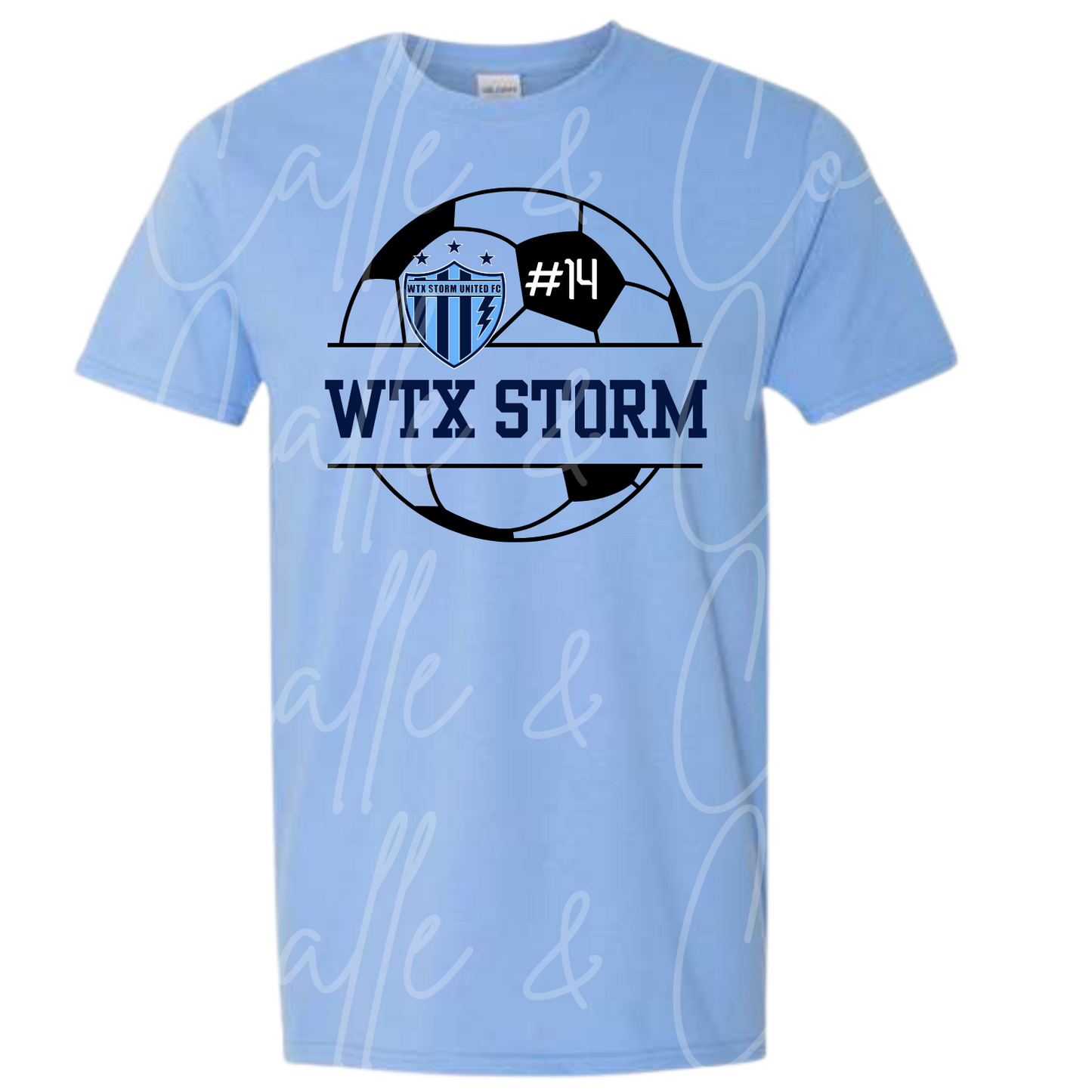 BALL WTX STORM CREST WITH PLAYER #