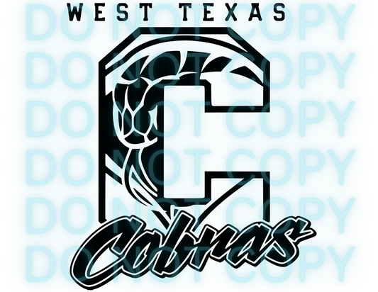 WEST TEXAS COBRAS C