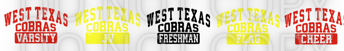 WEST TEXAS COBRAS DIVISION